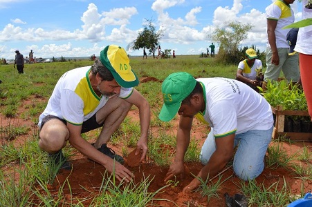 Projektbild von Bäume für Madagaskar